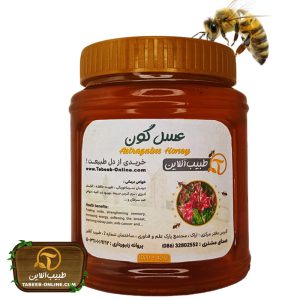عسل گون | یک کیلوگرمی